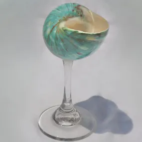 Aqua Green Seashell Glass