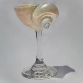 Pearl Jade Shell Glass