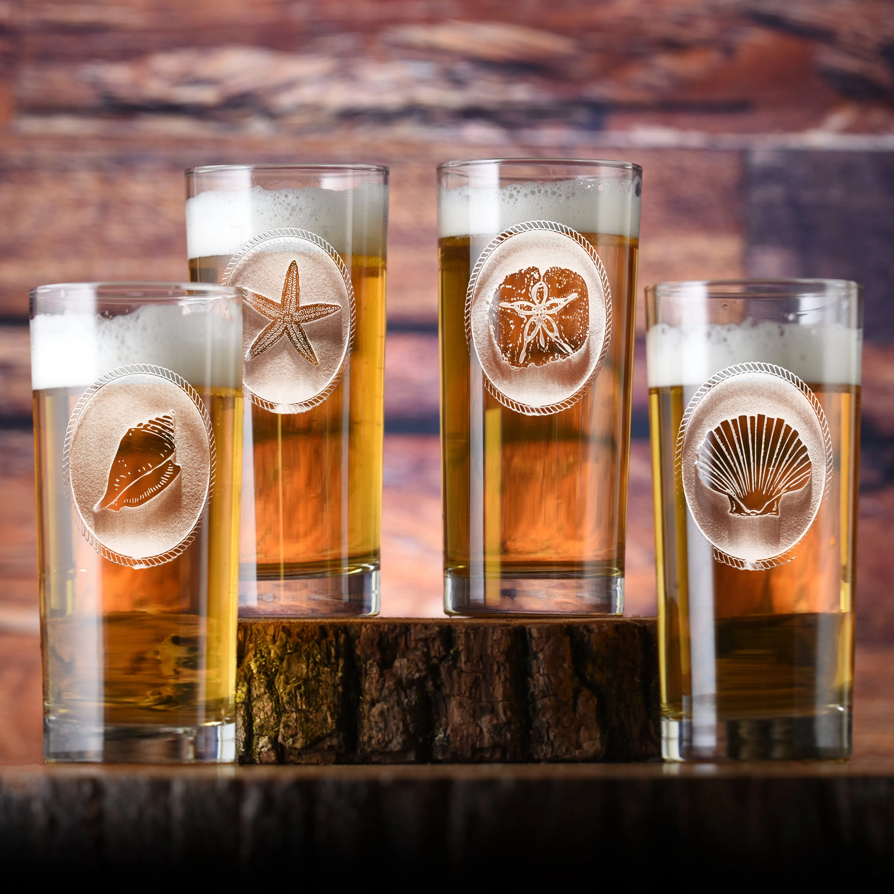 Seashell Beach Highball Glasses